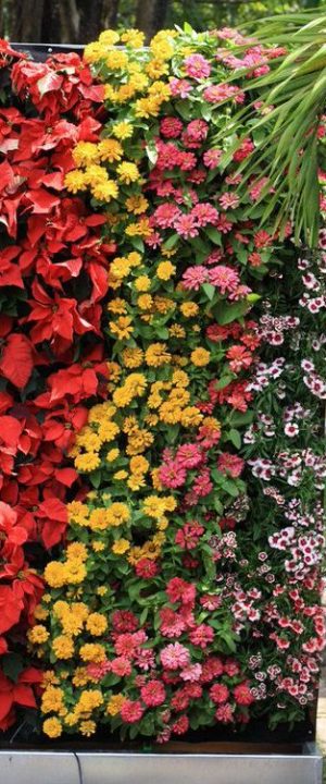 b4673e794040cb5463a23d9dccbe94c1